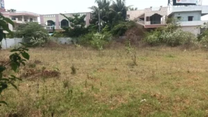Commercial Land for Lease in Peddipalem, Anandapuram – 2,600 Sq Yards property image 6
