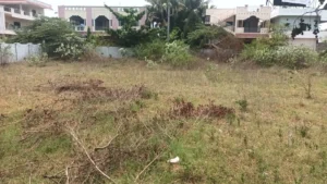 Commercial Land for Lease in Peddipalem, Anandapuram – 2,600 Sq Yards property image 5