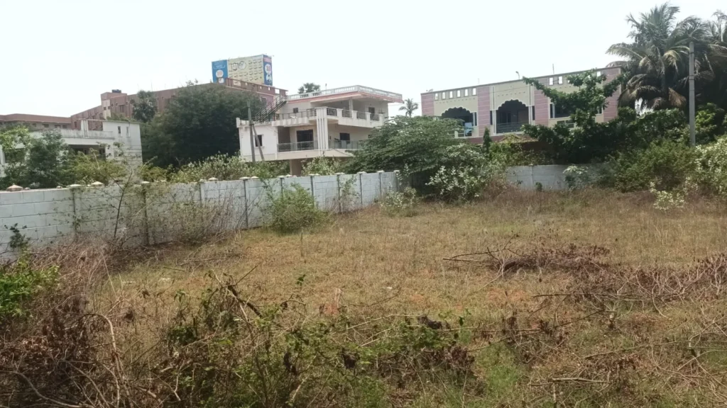 Commercial Land for Lease in Peddipalem, Anandapuram – 2,600 Sq Yards